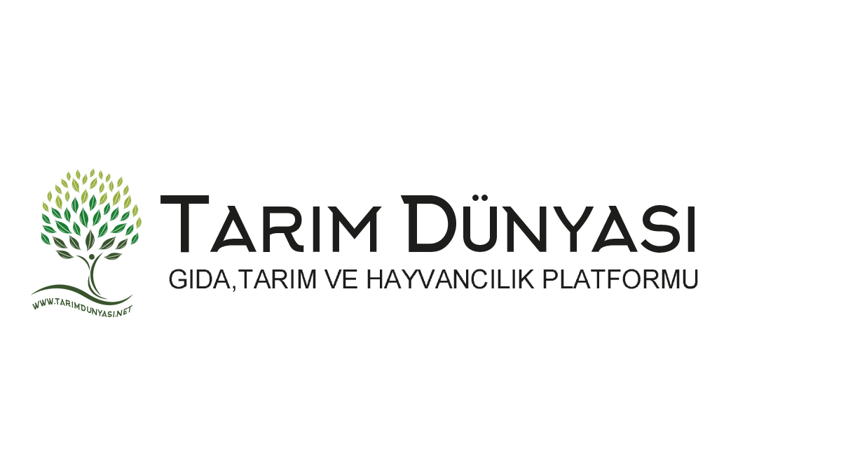 Manidar Sozler Unlu Dusunurlerden Manidar Sozler Manidar Mesajlar