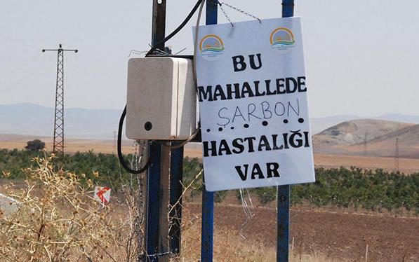 İthalatla gelen hayvan hastalıkları