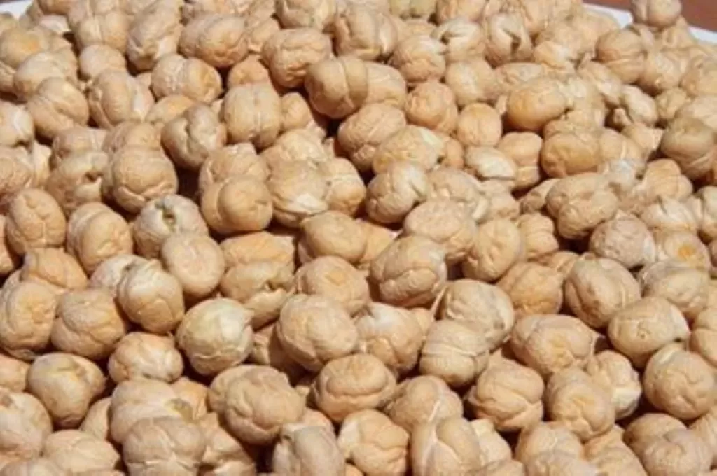 Nohut ihracatı