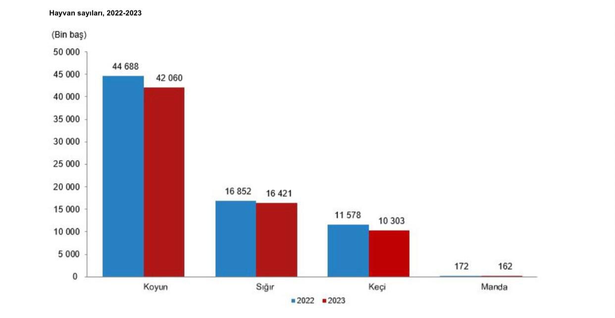 İthalat politikası Türkiye’nin hayvan varlığını eritti - 1