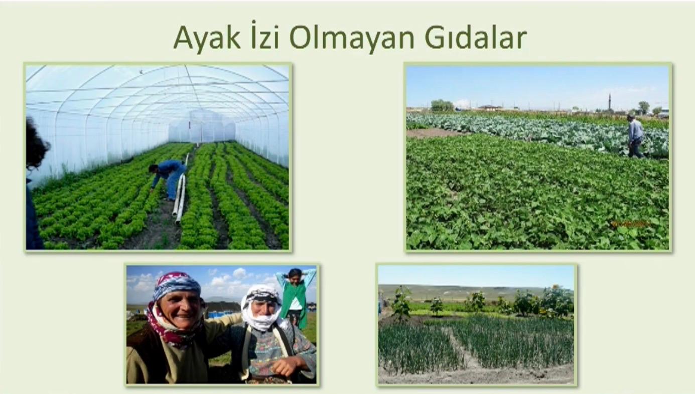 AyakXiziXolmayanXgXXdalar - Köyünün kaderini değiştiren İlhan Koçulu’dan öğrenecek çok şey var 