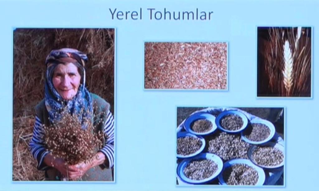 YerelXtohumlar - Köyünün kaderini değiştiren İlhan Koçulu’dan öğrenecek çok şey var 