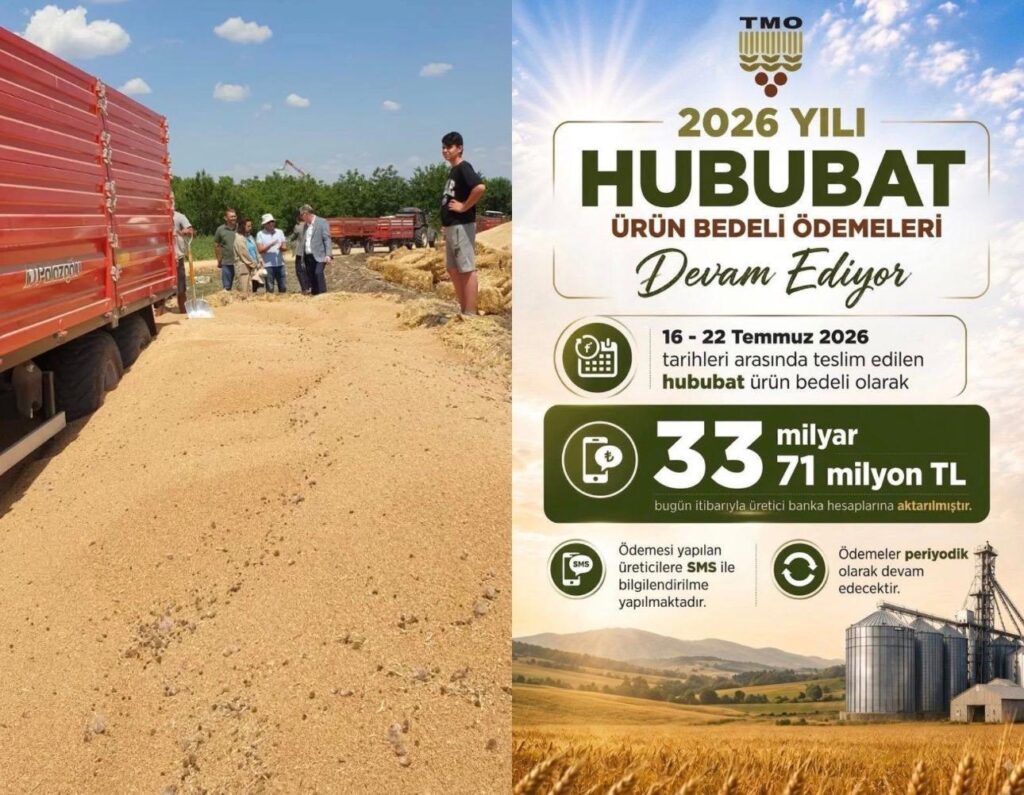 TMO’nun hububat alımı 11,5 milyon ton