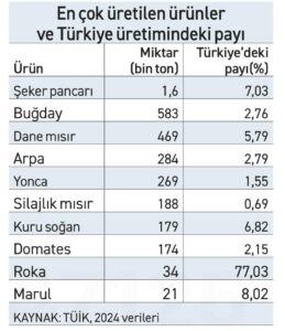 Eskişehir’de sanayi gelişse de tarım önemini koruyor - 1