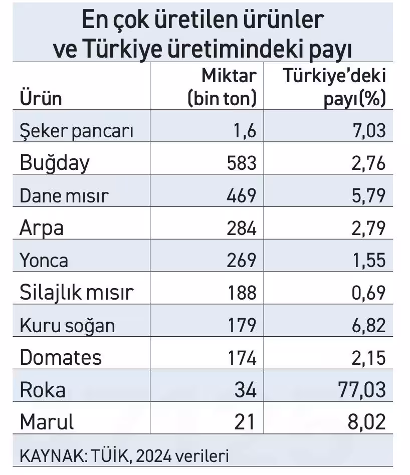 Eskişehir’de sanayi gelişse de tarım önemini koruyor - 1
