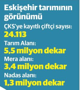 Eskişehir’de sanayi gelişse de tarım önemini koruyor - 3