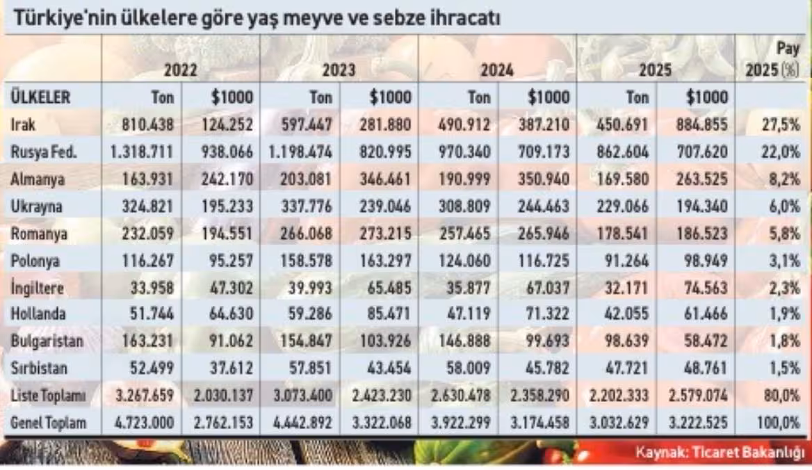 Yaş sebze ve meyvede üretim artışı ihracata yeterince yansımıyor - 4