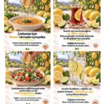 Limon hasadı başladı