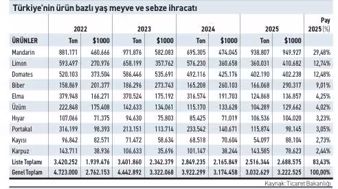 Yaş sebze ve meyvede üretim artışı ihracata yeterince yansımıyor - 3