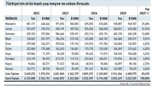 Yaş sebze ve meyvede üretim artışı ihracata yeterince yansımıyor - 3