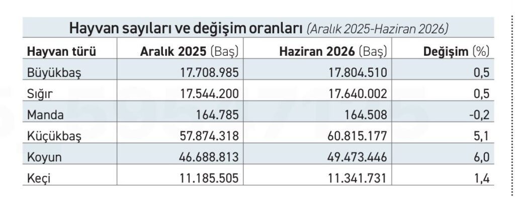 Büyükbaş hayvan varlığı yüzde 0,5 artarken küçükbaş yüzde 5,1 arttı - 1