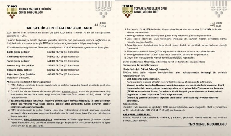 TMO çeltik alım fiyatlarını açıkladı