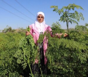 Tarım Gıda Sistemleri ve Kırsal Kalkınmada 100 Kadın Kahraman - 1